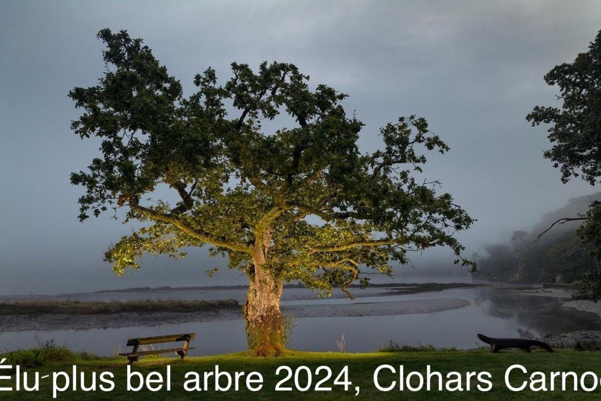 Ty Glazu Doelan Espace 60M2, Port& Criques A Pied, 2 Chambres Privees Au 1Er Etage, Sdb, Wc Separe Clohars-Carnoet Bagian luar foto